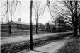 Trees and Buildings in Black and White