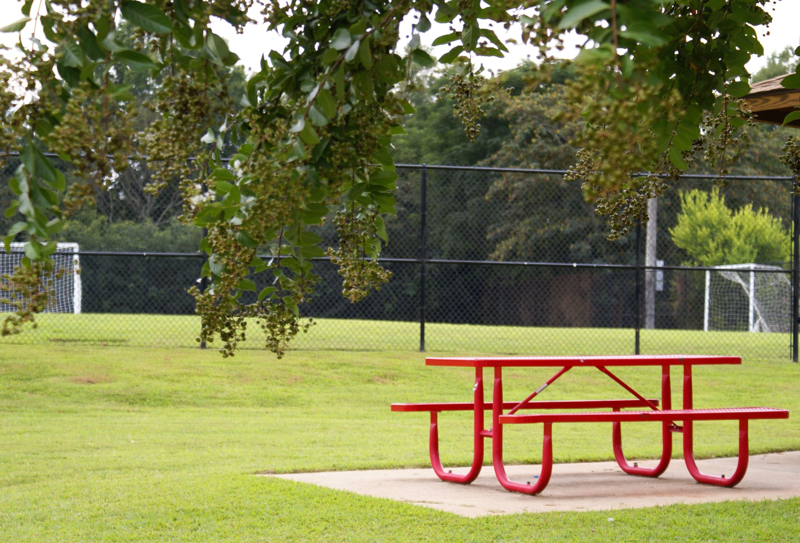 Calhoun Park Picnic Table 1