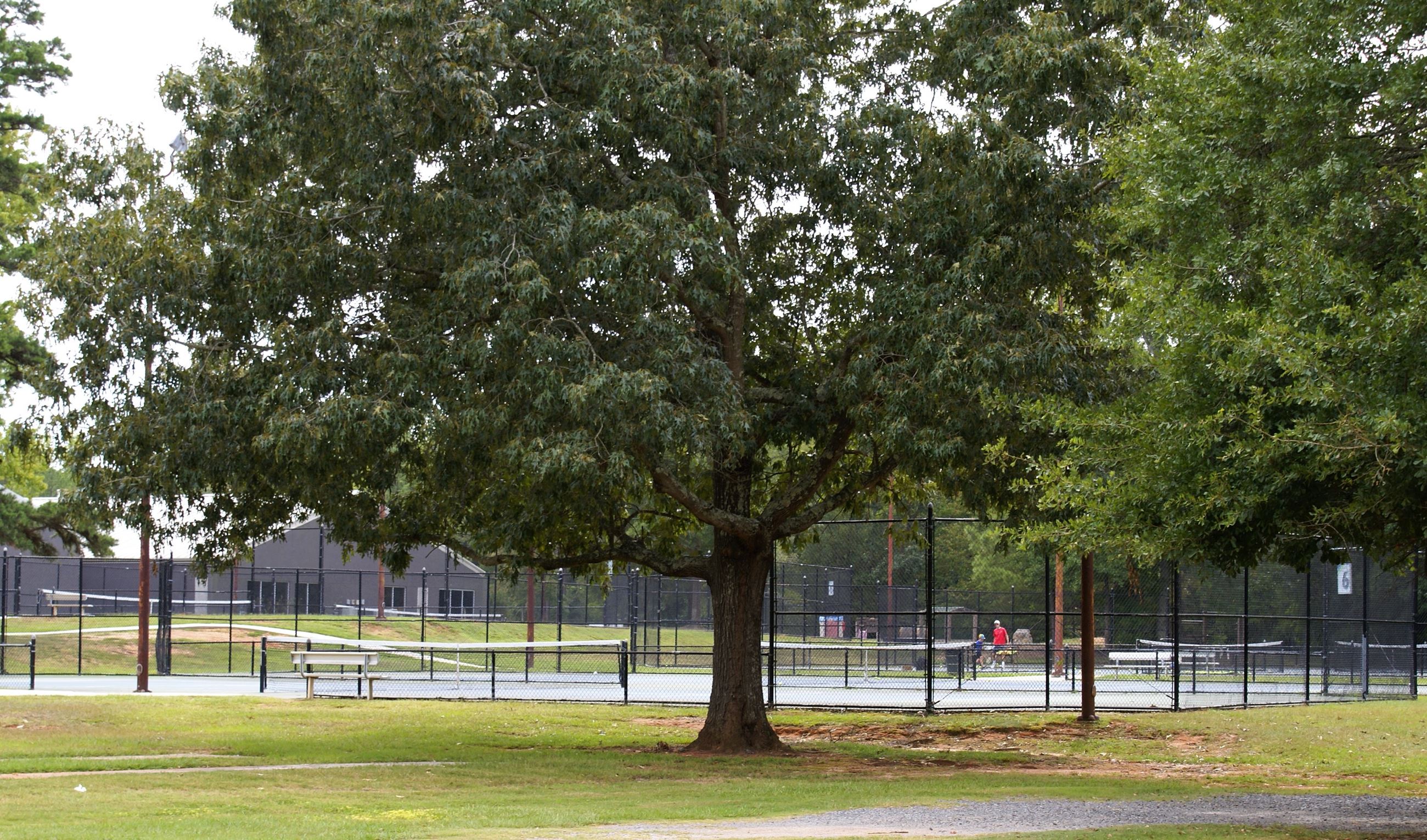 Tennis Courts at the Complex 1