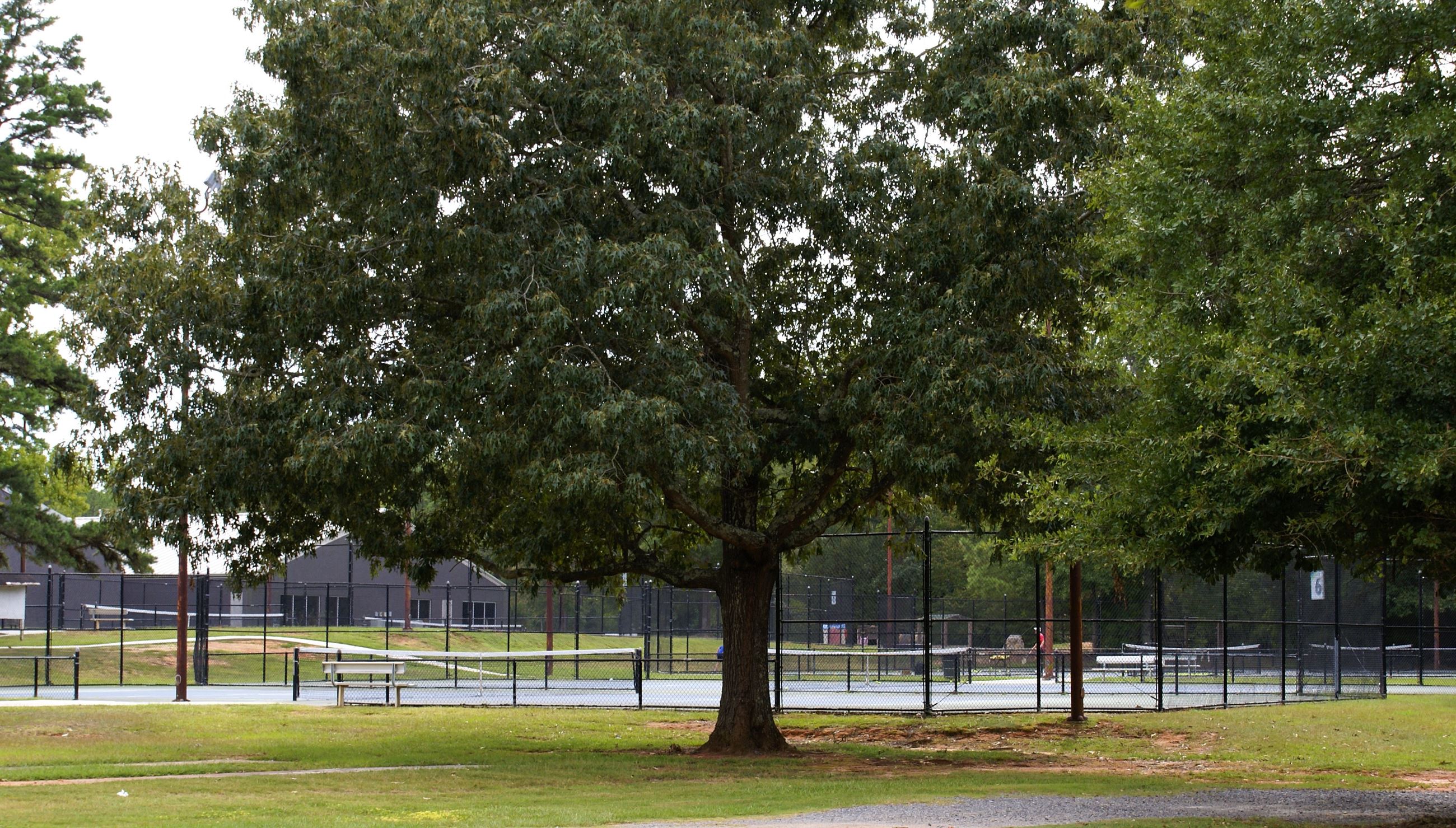 Tennis Courts at the Complex
