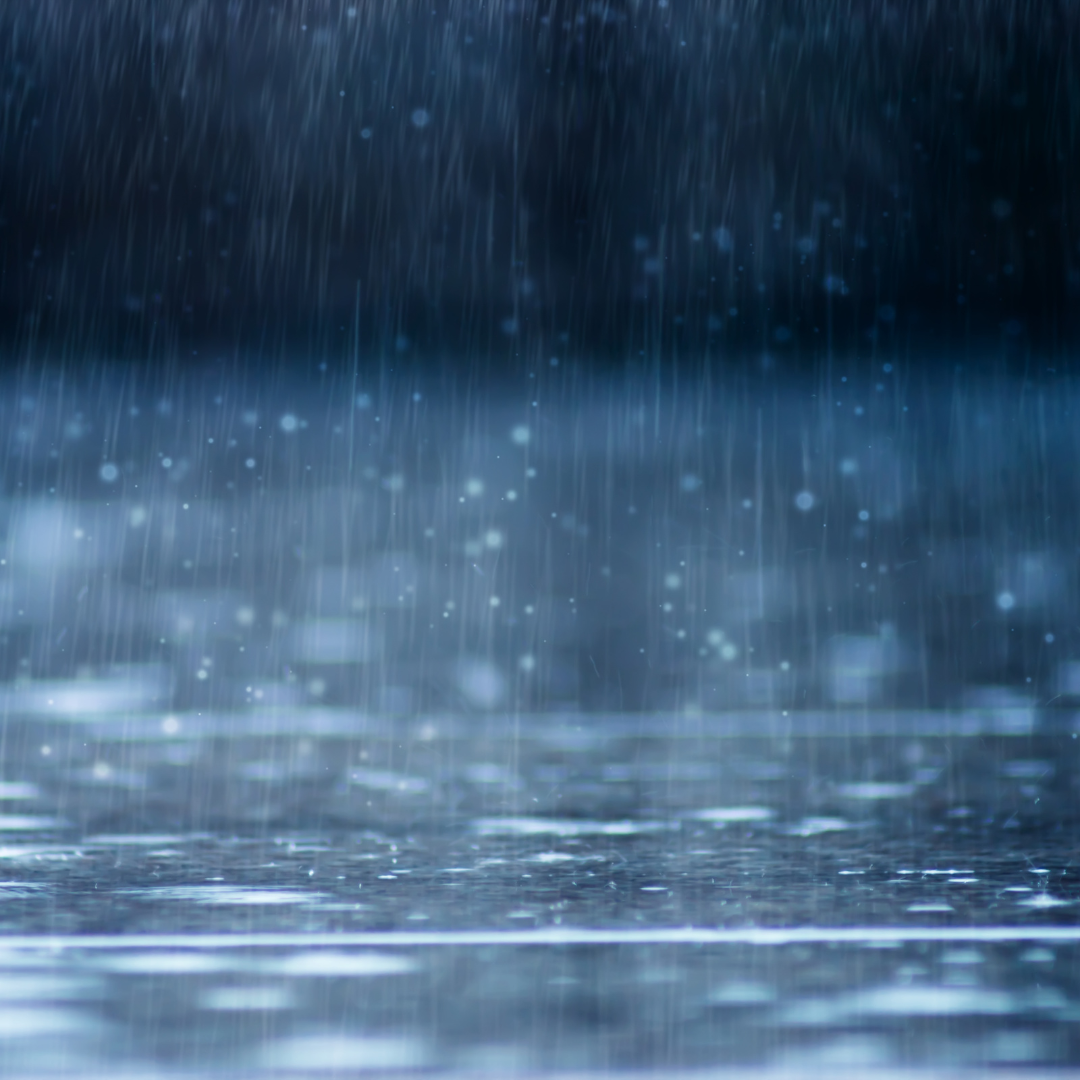 stormy weather graphic-smaller size