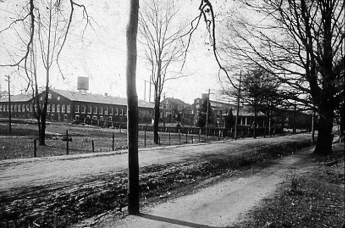 Trees and Buildings in Black and White