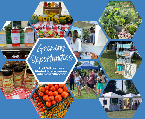 Growing Opportunities- farmers market graphic for 11-22 for website graphic 500 by 410